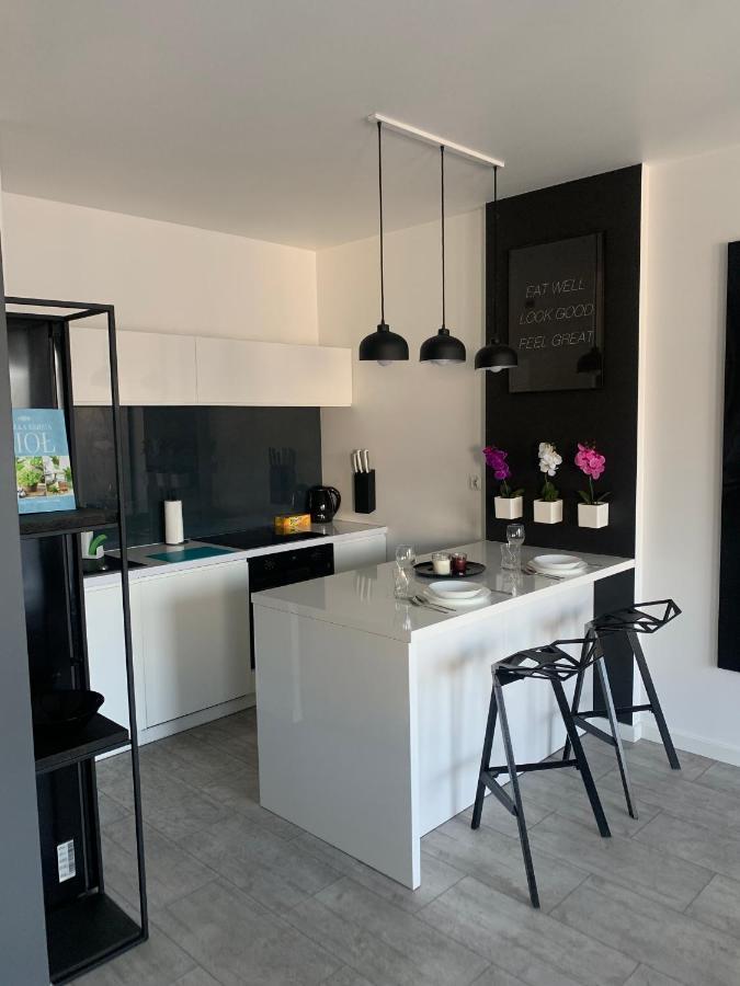 Ekskluzywny Penthouse Z Ogrodem W Centrum Lodzi Luaran gambar