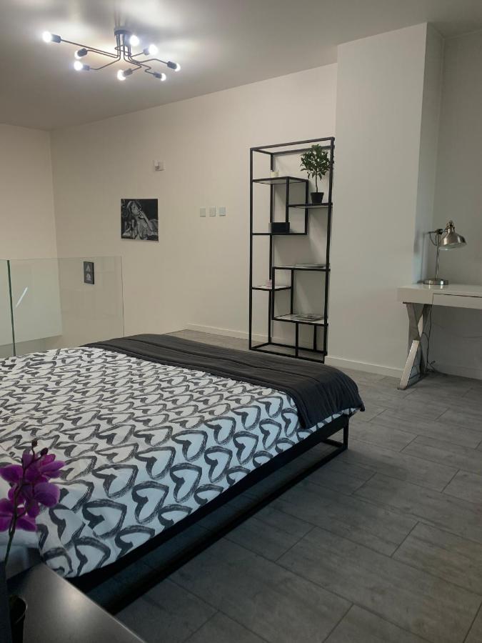 Ekskluzywny Penthouse Z Ogrodem W Centrum Lodzi Luaran gambar