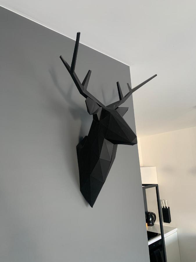 Ekskluzywny Penthouse Z Ogrodem W Centrum Lodzi Luaran gambar